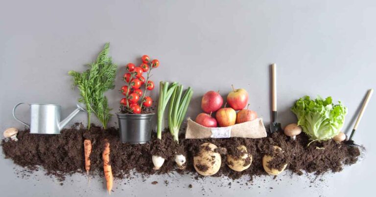 Cost of living in the Netherlands – single, family & student